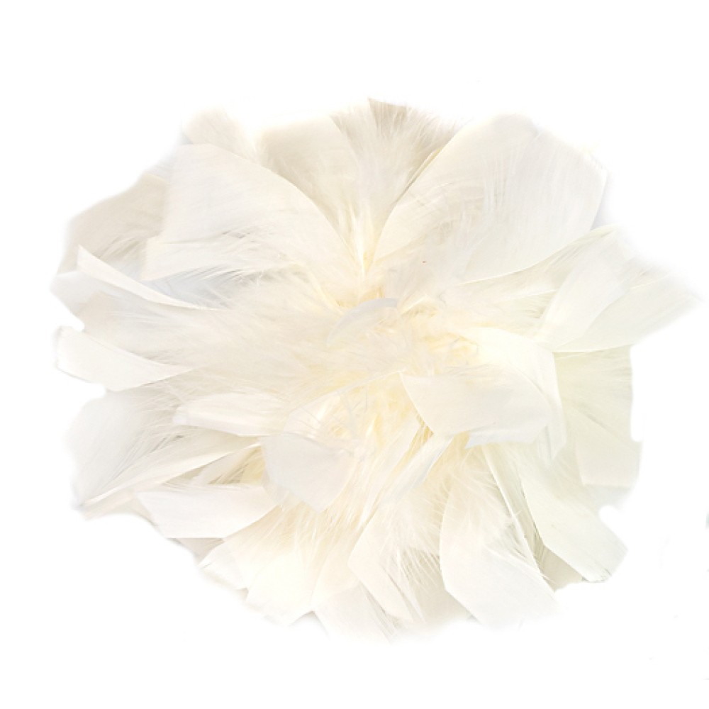 ΚΑΡΦΙΤΣΑ - ΜΠΟΥΤΟΝΙΕΡΑ ΜΕ ΦΤΕΡΑ  "STYLISHIOUS COLLECTION"