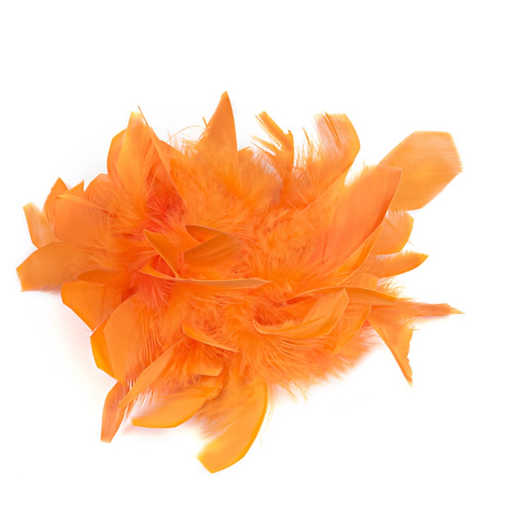 ΚΑΡΦΙΤΣΑ - ΜΠΟΥΤΟΝΙΕΡΑ ΜΕ ΦΤΕΡΑ  ΣΕ ΚΙΤΡΙΝΟ -ΠΟΡΤΟΚΑΛΙ ΚΑΙ ΜΑΥΡΟ "STYLISHIOUS COLLECTION"